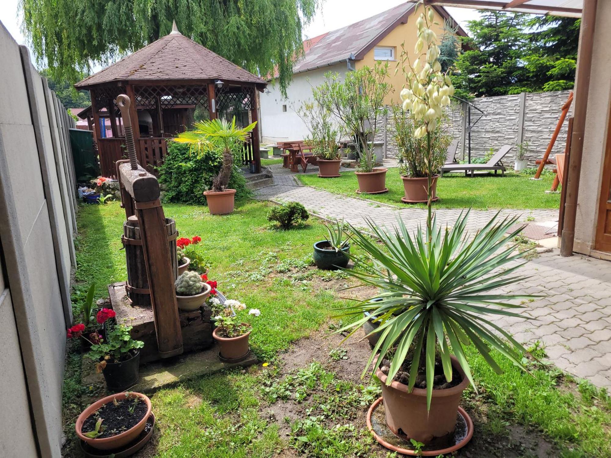 Penzión Korzo Štúrovo Exterior foto